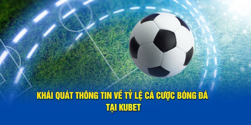 Tham gia thể thao tại sân chơi KUBET sẽ nhận được lợi ích gì?